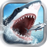 在哪能下载谷歌加速器